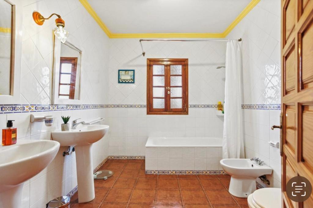 Villa Aventura Parque Holandes Екстер'єр фото